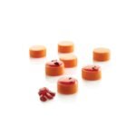 MICRO ROND5 – MOULE EN SILICONE N.35 MICRO ROND5