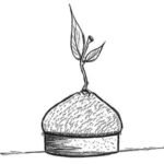 PX4359 Citron – Image 2