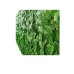 Clôture en gazon artificiel Golden Cart avec feuilles pour jardin, balcon (1 pièce) I Clôture extensible pour plantes I Protection UV I Article de décoration de jardin (vert, s'étend jusqu'à 3 mètres x 1 mètre – Image 5