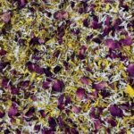 Fleur mix the sun – Image 2